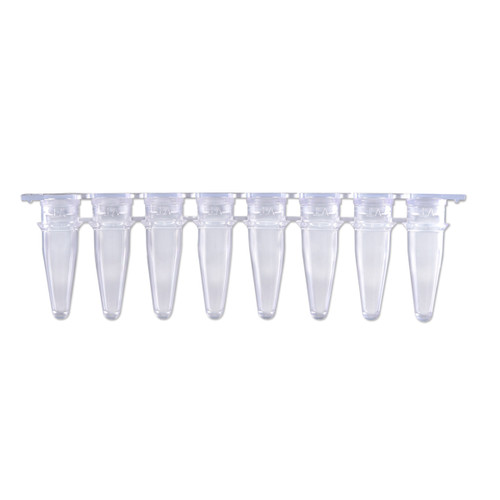 P3802-Q | MTC Bio 0.2mL qPCR Strips, natural/clear tubes