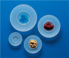 255255 | Dynalon Watch Glass, PP 100mm, CS/50