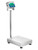Adam GGF 165a Gladiator Washdown Scale, 75 kg x 5 g