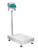 Adam GGL 600aM Gladiator Approved Washdown Scale, 300 kg x 0.05 kg