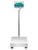 Adam GGF 300aM Gladiator Approved Washdown Scale, 150 kg x 0.02 kg, front view