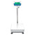 Adam AGF 660a Bench and Floor Scale, 300 kg x 0.01 kg, front view