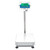 Adam AGF 350a Bench and Floor Scale, 160 kg x 5 g, front view