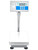Adam BKT 35a Label Printing Scale, 16 kg x 0.5 g, front view