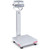 30461679 | OHAUS Bench Scale, D52XW25WQL7