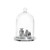 YAW06 | Sartorius Glass Bell Jar with Support Plate for 50