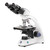 EBB-4260 | Globe Scientific BioBlue Binocular Microscope SMP, 4/10/S40/S100x Objectives w/ Mech Stage