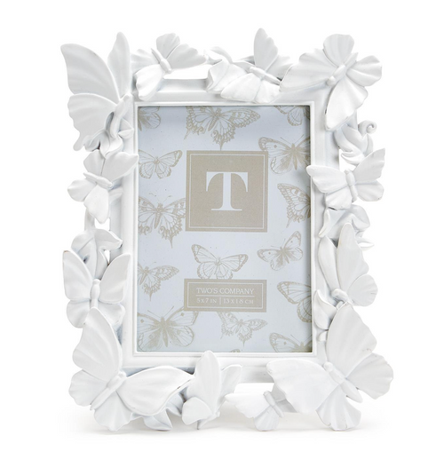 White Butterfly Frame