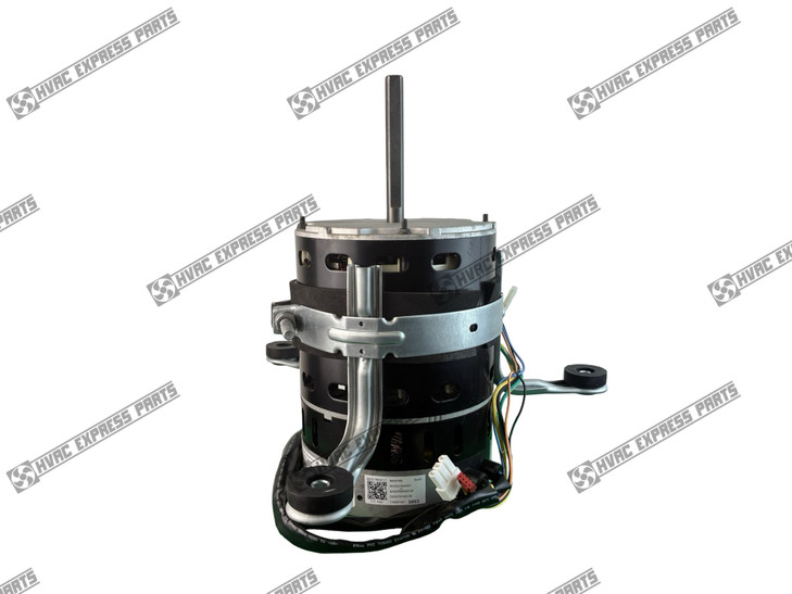 ZKFD-750-8-1-1 / 11002015A01858 Brushless DC Motor