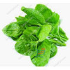 Poi Leaves(Bachali) / lbs