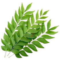 Curry Leaves Dry, 100 Grams