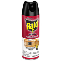 Raid Ant Roach, 496 Grams