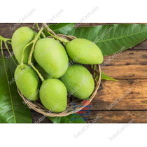 Green Mango/ lbs