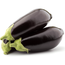 Eggplant Holland / lbs