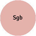 Sgb