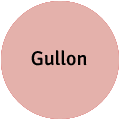 Gullon