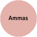 Ammas