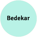 Bedekar