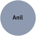 Anil