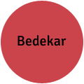 Bedekar