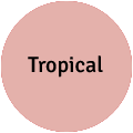 Tropical