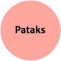 Pataks