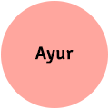 Ayur