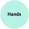 Hands