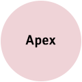 Apex