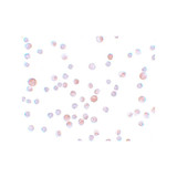 ProSci 5859 CaBP7 Antibody