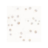 ProSci 6889 ABCA7 Antibody