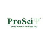 ProSci 7689 Hantaan Virus Nucleocapsid Antibody
