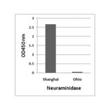 ProSci 7827 Avian Influenza A H7N9 Neuraminidase Antibody