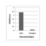 ProSci 7831 Avian Influenza A H7N9 Neuraminidase Antibody