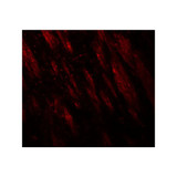 ProSci 8013 PTPN5 Antibody