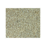 ProSci 8097 MALT1 Antibody