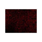 ProSci 3623 CRMP1 Antibody