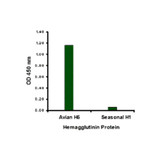 ProSci 3925 Avian Influenza H5N1 Hemagglutinin (IN3) Antibody