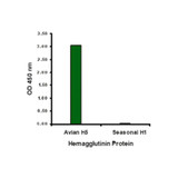 ProSci PM-4005 Hemagglutinin Antibody