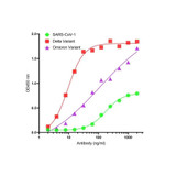 ProSci SD9787 SARS-CoV-2 (COVID-19) Spike S2 Single Domain Antibody