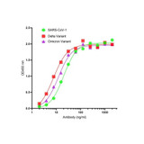 ProSci SD9789 SARS-CoV-2 (COVID-19) Spike S2 Single Domain Antibody
