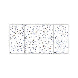 (GS1-7084) LAG3 Detection Set (Risk Free) ProSci 1 Set/Unit