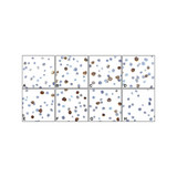 (GS1-7038) CD80 Detection Set (Risk Free) ProSci 1 Set/Unit