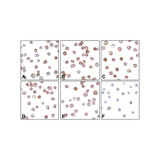 (GS1-7099) B7-H3 Detection Set (Risk Free) ProSci 1 Set/Unit