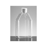 Falcon® Cell Culture Flasks, Canted Neck