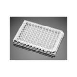Falcon® Clear 96-Well Microplates