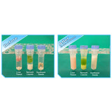 (31-216) BeadBug 6 Microtube Homogenizer 1 Homogenizer/Unit