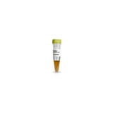Amersham™ ECL Direct Labeling System