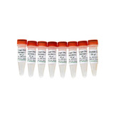 (11-705C) Fungal DNA Standards and No Template Control Zymo Research 8 x 50µl/Unit