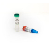 Zymo Research R3012 Zymo Research R3012 ZymoScript RT PreMix Kit, cDNA synthesis kit, 100 Reactions/Unit, cDNA synthesis kit, 100 Reactions/Unit Primary Image